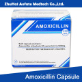 Amoxicillin Kapsel Karton Verpackung